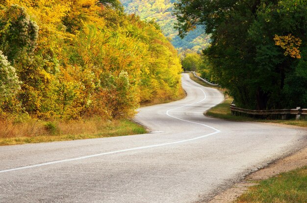 Asfalto stradale autunnale