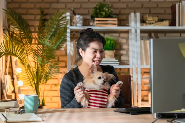 Asian attraente femmina abbraccio coccola tenendo chihuahua carino cagnolino che lavora da casa studio con felicità e donna allegra stare a casa e lavorare insieme con il piccolo amico del cane