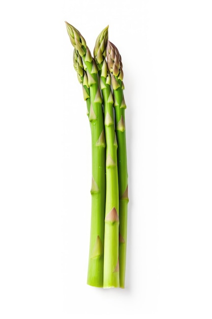 Asparagi su sfondo bianco