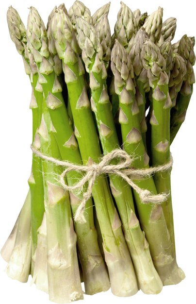 Asparagi verdi freschi su sfondo bianco