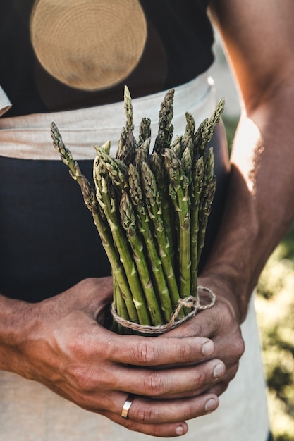 Asparagi verdi tenuti nelle mani degli uomini