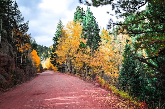 Aspen su strada