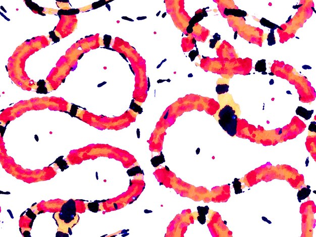 Aspid Seamless Pattern. Crimson Red Hand Drawn Aspid Pattern. African Safari Leather Illustration. Elapidae Closeup Background. Snake Skin Print. Venom Dragon Imitation.