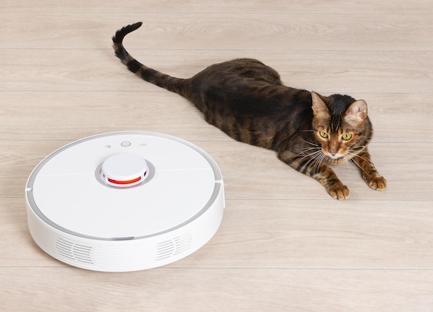 Aspirapolvere robotizzato bianco da pavimento e gatto domestico