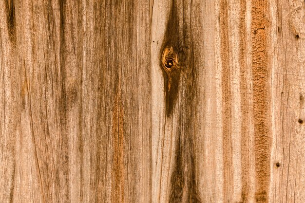 Assi di legno marrone verticale con ramoscelli