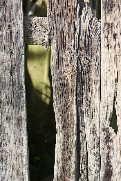 Assi di legno stagionati, esterno della baracca danneggiata