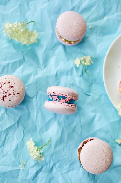 Assortimento di dolci francesi maccheroni rosa su sfondo blu con fiori freschi assortimento di pasticceria dolce indulgenza
