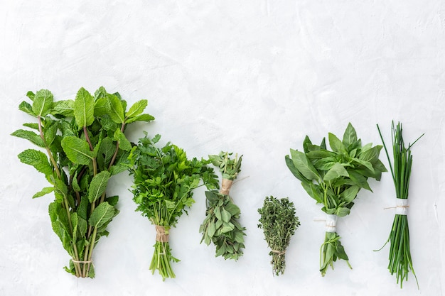 Assortimento di erbe aromatiche fresche dall'alto su sfondo bianco