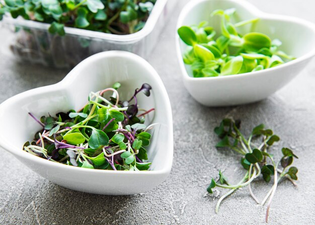 Assortimento di micro verdure in ciotole