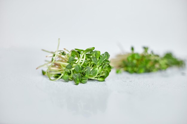 Assortimento di microgreen heap di germogli micro verdi su sfondo bianco