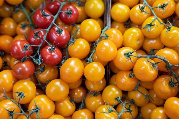 Assortimento di pomodori freschi al mercato