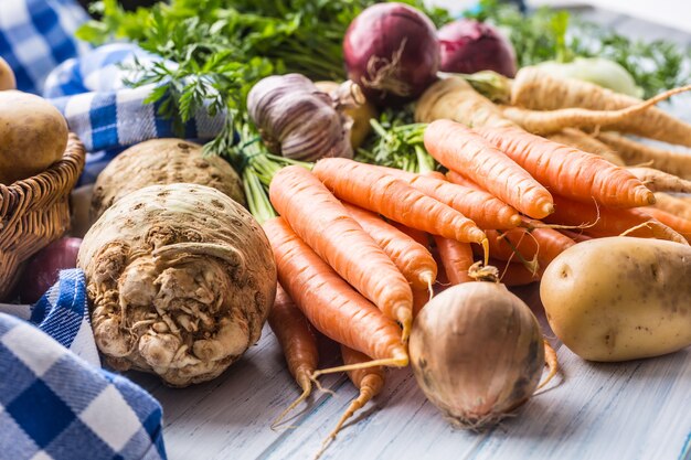 Assortimento di verdure fresche sulla tavola di legno. Carota pastinaca aglio sedano cipolla e cavolo rapa.