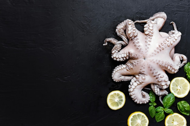 Assortimento sano di pesce e frutti di mare su sfondo nero. Vista dall'alto. Frutti di mare su fondo rustico nero.