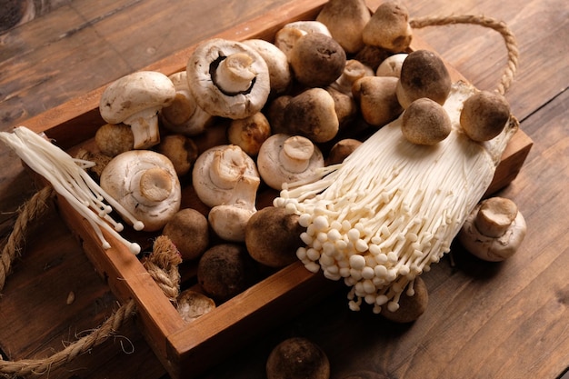 assortiti di funghi, enokitake, funghi Agaricus bisporus, funghi paglia. (Volvariella volvacea)