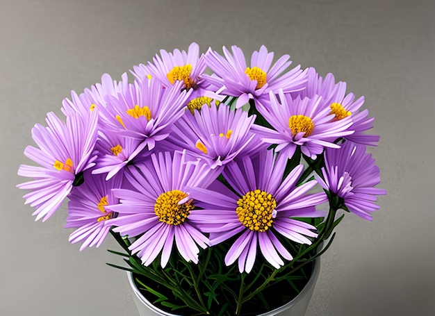 Aster Flowers Art Design