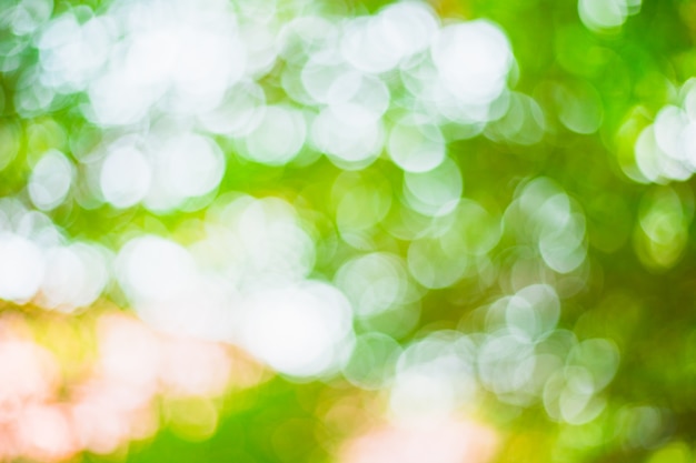 astratto blurred verde bokeh foglie sfondo e texture