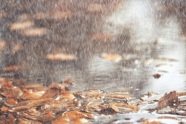 astratto sfondo autunnale pioggia foglie carta da parati parco