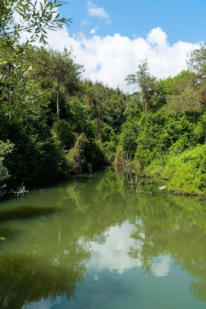 Ataturk Kent Ormani ad Istanbul in Turchia. Foresta della città di Ataturk. Aree nette di carbonio zero