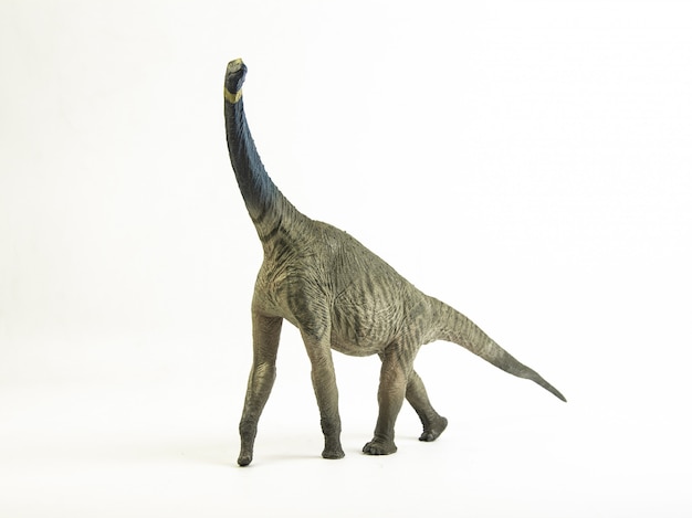 Atlasaurus, dinosauro.