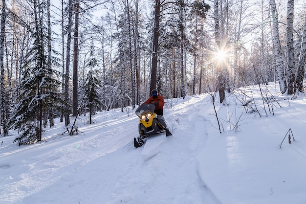 Atleta su una motoslitta nella foresta invernale.