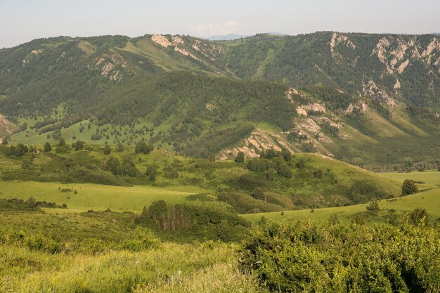 Atmosferico paesaggio di montagna verde alla luce del sole all'alba. In lontananza si possono vedere molti strati di montagne.