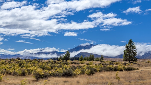 Atterra lungo il lago Tekapo