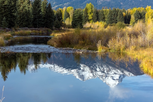 Atterraggio di Schwabacher