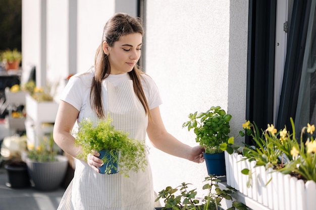 Attraente giovane donna che crea giardino al balcone donna tenere pentola con aneto e basilico a partire per