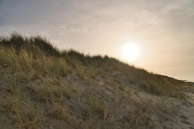 Attraversamento della spiaggia in Danimarca dal mare Dune sabbia acqua e nuvole sulla costa