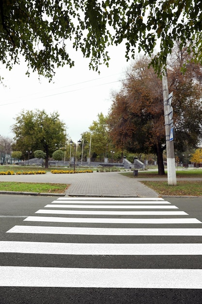 Attraversamento pedonale sulla strada della città vuota in autunno