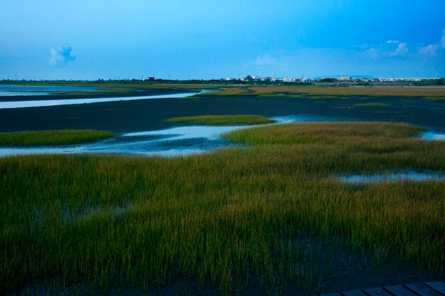 Attrazioni della costa occidentale di Taiwan Taichung Parco Gaomei Wetland