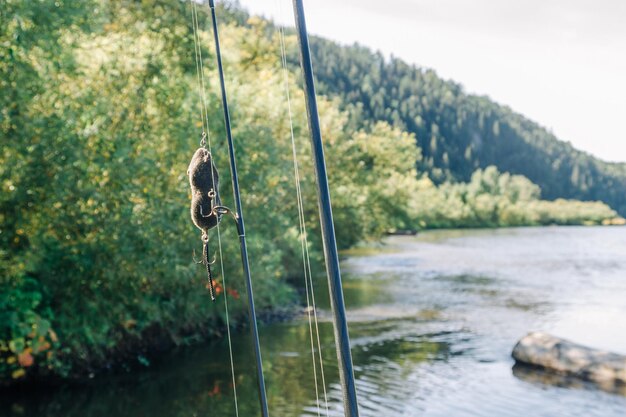 Attrezzatura da pesca sullo sfondo della riva soleggiata del fiume