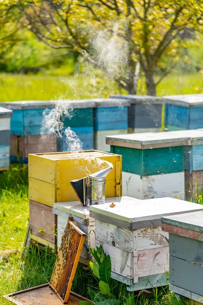 Attrezzatura per l'apicoltura a nido d'ape Affumicatore agricolo per alveare