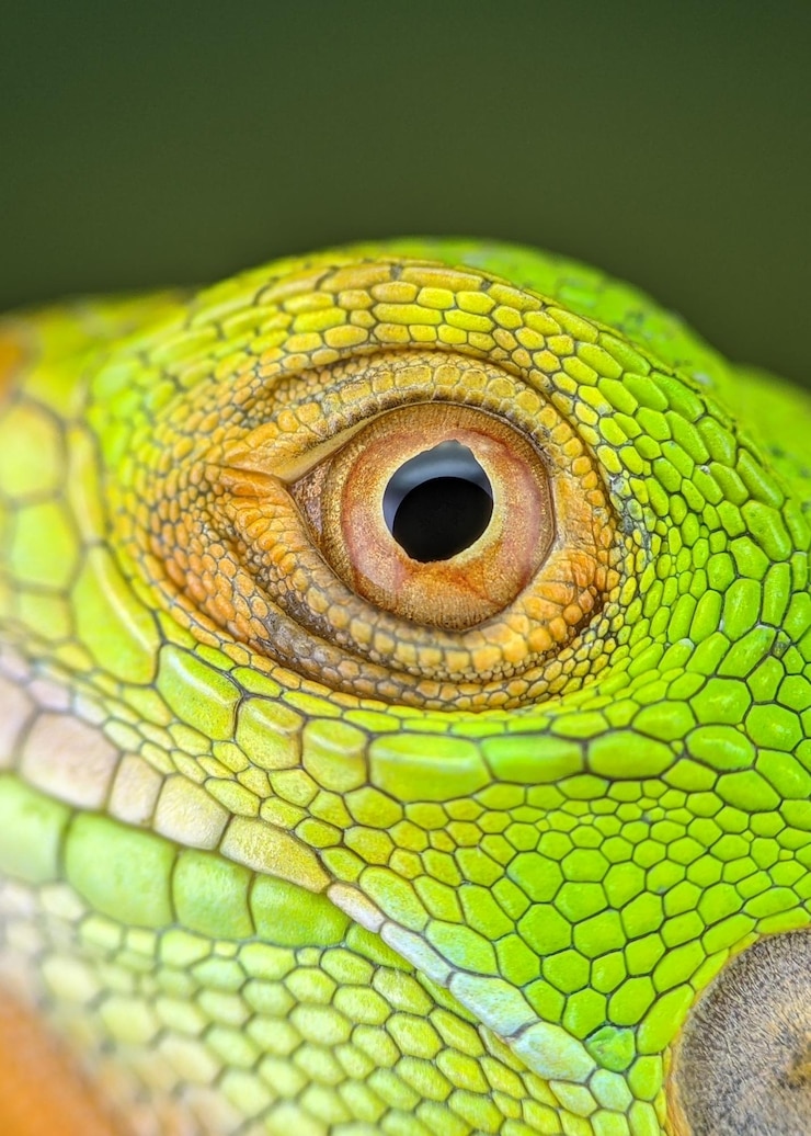 Foto attrezzature per la prova oculare