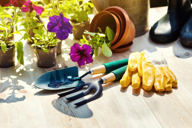 Attrezzi da giardinaggio e fiori in giardino come annaffiatoio stivali di gomma vasi vasi guanti di gomma