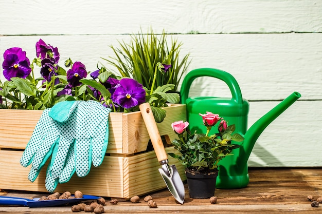 Attrezzi da giardinaggio e fiori sulla terrazza in giardino