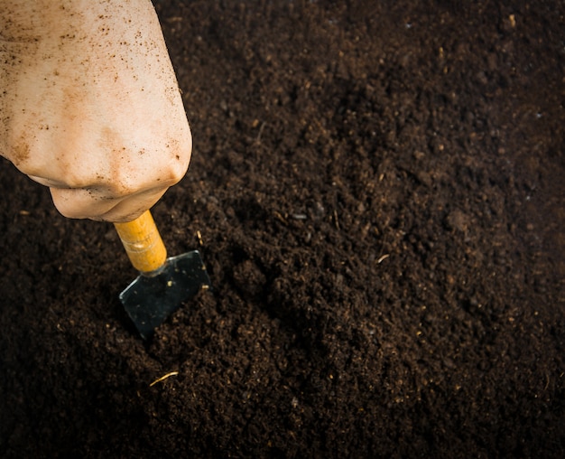 Attrezzi da giardinaggio e mano con terreno