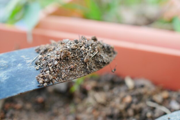 Attrezzi da giardinaggio e piante su un tavolo con spazio per la copia