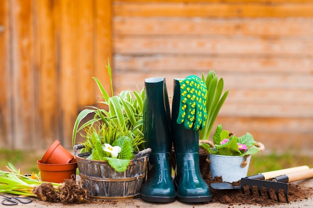 Attrezzi da giardinaggio e vasi con fiori preparati da mettere nel terreno