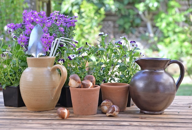 Attrezzi da giardinaggio in una brocca d'acqua collocata con altri su un tavolo con fiori e bulbi in un giardino