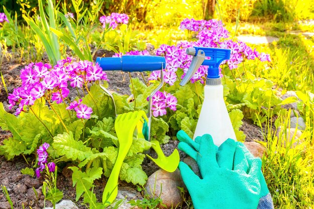 Attrezzi da giardinaggio pala vanga potatore rastrello guanto primula fiore su sfondo letto primavera o estate in...