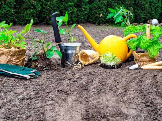 Attrezzi da giardinaggio per guanti da giardinaggio piantine pomodoro basilico peperone fragola annaffiatoio lavori stagionali in giardino