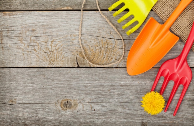 Attrezzi da giardino con fiore