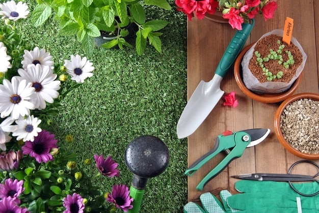 Attrezzi da giardino su erba e tavolo in legno con vari tipi di piante