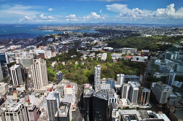 Auckland è una bellissima città della Nuova Zelanda