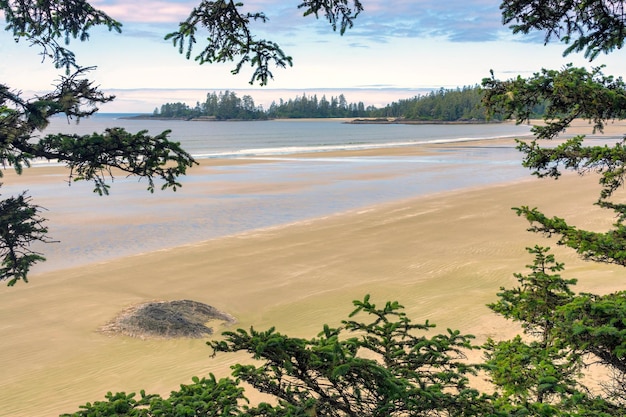 Aumento delle maree sulla lunga spiaggia dell'Oceano Pacifico vicino a Tofino British Columbia Canada