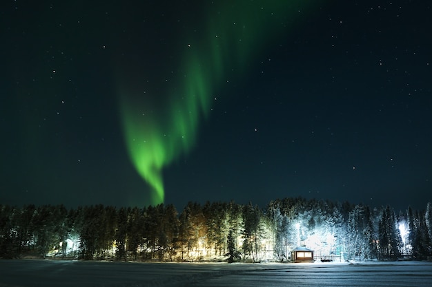 aurora boreale sulla foresta e sulla casa