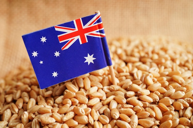 Australia sul concetto di esportazione ed economia del commercio di grano di grano