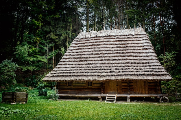 Autentiche case in legno ucraine con tetto in paglia e paglia