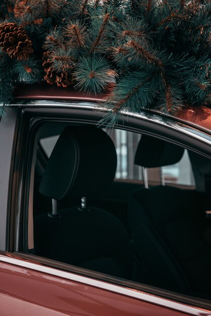 Auto con albero di Natale sul tetto